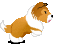 sable.gif
