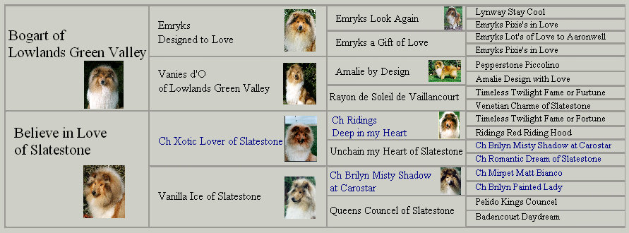 pedigree__bogart_and_lucie.jpg